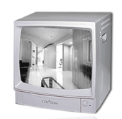  14" Color Monitor